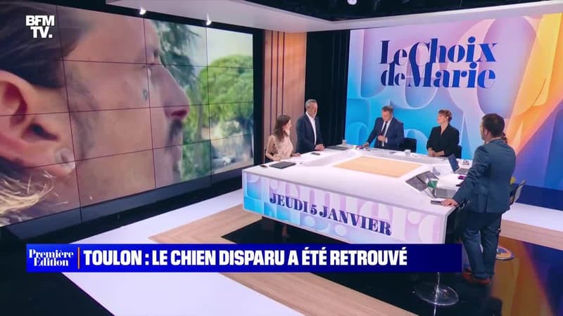 Le choix de Marie : Toulon, le chien disparu a été retrouvé - 05/01