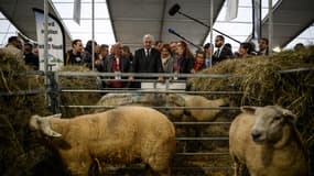 Le Premier ministre Michel Barnier en visite au Sommet de l'élevage de Cournon-d'Auvergne (Puy-de-Dôme), le 4 octobre 2024.
