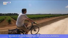 Balade à vélo en Région Sud : de Toulon au Lavandou