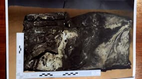 La deuxième boîte noire de l'A320 de Germanwings confirme l'action volontaire d'Andreas Lubitz