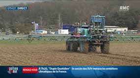 Néonicotinoïdes: l'Assemblée nationale valide le retour de ces puissants pesticides
