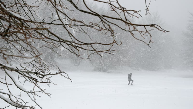 Canada: l'est du pays paralysé par une tempête de neige 