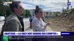 Gap: des associations mobilisées contre l'abattage d'arbres par la SNCF