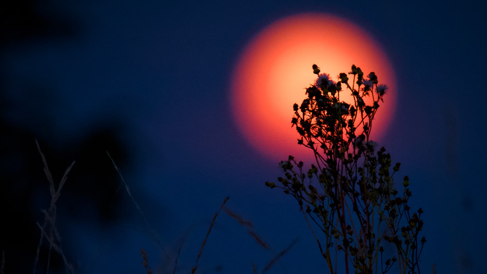 La "super Lune bleue" à Montargis, le lundi 19 août 2024
