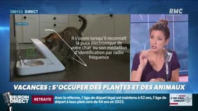 La chronique de Nina Godart : Quand la tech prend soin de nos plantes et nos animaux pendant les vacances - 19/07