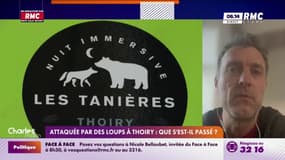 Joggeuse attaquée par des loups à Thoiry : "En captivité, les loups ont des comportements anormaux", explique Pierre Rigaux