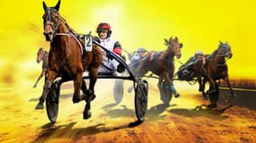 Les pronos hippiques du mercredi 29 septembre 2021. 