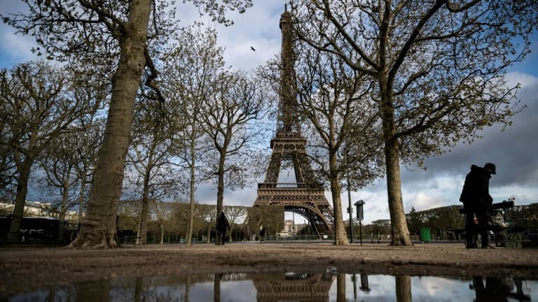 Des associations et personnalités ont largement dénoncé l'abattage prévu d'une vingtaine d'arbres, dont certains très vieux, au pied de la Tour Eiffel.