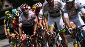Le peloton du Tour