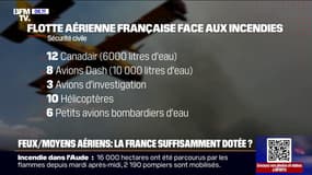Incendie dans l'Aude: la France est-elle dotée d'une flotte suffisamment importante pour combattre les feux?