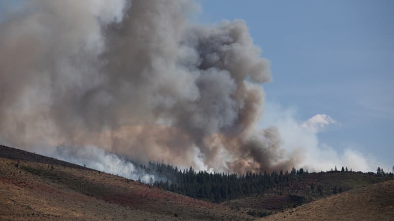 Un incendie au "comportement extrême" menace une ville du Nevada, 42.000 personnes évacuées