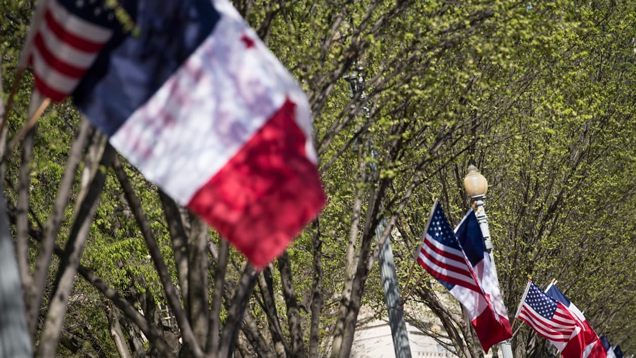 Les drapeaux français et américain dans les rues de Washington Les drapeaux français et américain dans les rues de Washington