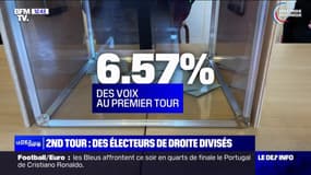 Législatives: les électeurs LR divisés avant le second tour 