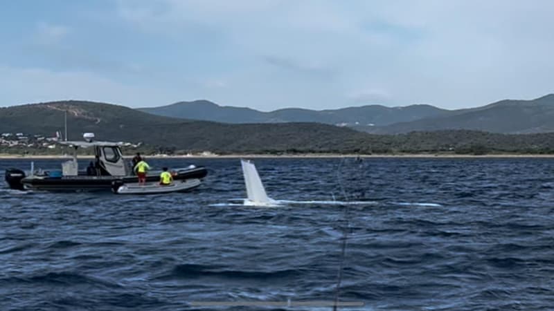 Le pilote d'un avion de tourisme, victime d'une panne de moteur, a réussi à amerrir au large de la plage de Fréjus, ce dimanche 30 juillet 2023.