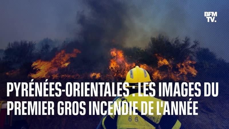 Pyrénées-Orientales: les images du premier gros incendie de l'année