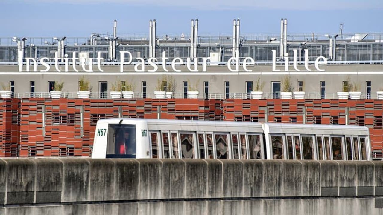 Lille un trafic 