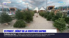 Saint-Priest: début de la vente des sapins 