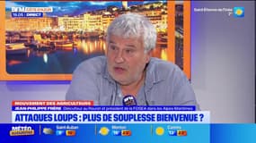 Mouvement des agriculteurs - Attaques loups : plus de souplesse bienvenue ? 