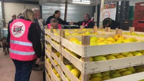 Des pommes données à Thurins en avril 2025