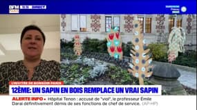 Paris: une association fait livrer un vrai sapin à la mairie du 12e