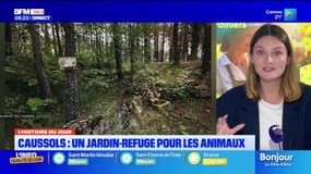 L'histoire du jour avec @ValentineBrvt : à Caussols, un jardin-refuge pour les animaux