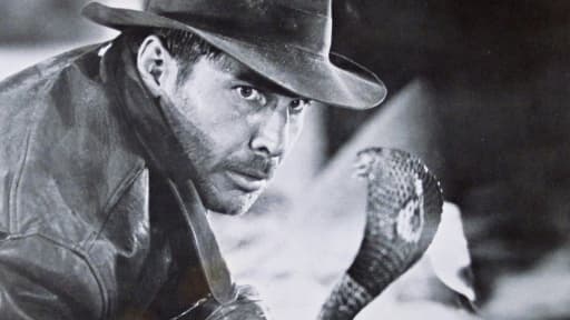 Indiana Jones et les Aventuriers de l'arche perdue, premier opus de la saga, avait rapporté 384 millions de dollars.