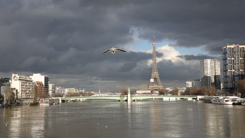La Seine en crue en 2018 (photo d'illustration)