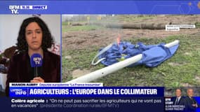 Mobilisation des agriculteurs: Manon Aubry (député européenne LFI) pointe "une colère légitime vis-à-vis d'une Union européenne qui n'a pas compris la réalité du monde paysan"