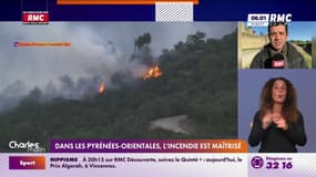 Un incendie géant maîtrisé dans les Pyrénées-Orientales