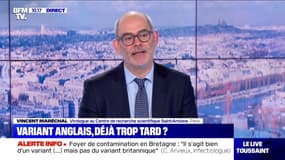 Les dernières analyses des eaux usées en Ile-de-France témoignent d'une "remontée" de la circulation du Covid, selon le Pr Vincent Maréchal