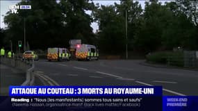 Royaume-Uni: 3 morts dans une attaque au couteau près de Londres 