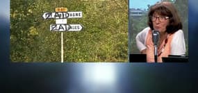 Notre-Dame-des-Landes: "Cette consultation a été biaisée par son seul périmètre"